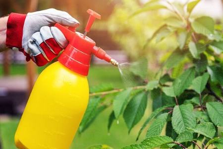 آفت کش،اخبار پزشکی،خبرهای پزشکی آفت کش،اخبار پزشکی،خبرهای پزشکی