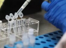 حمایت ویژه ایران‌ساخت از خریداران تجهیزات پیشرفته ژنتیک