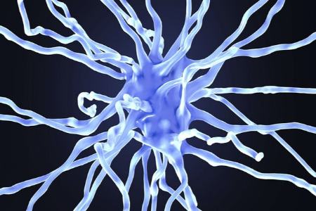 آلزایمر،اخبار پزشکی،خبرهای پزشکی آلزایمر،اخبار پزشکی،خبرهای پزشکی