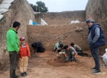 شکفتن دانه برنج ۳ هزار ساله در کاوش‌های قلعه‌کِش آمل