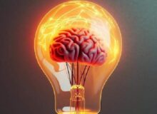 نوروساینس عاطفی (Affective Neuroscience) چیست ؟