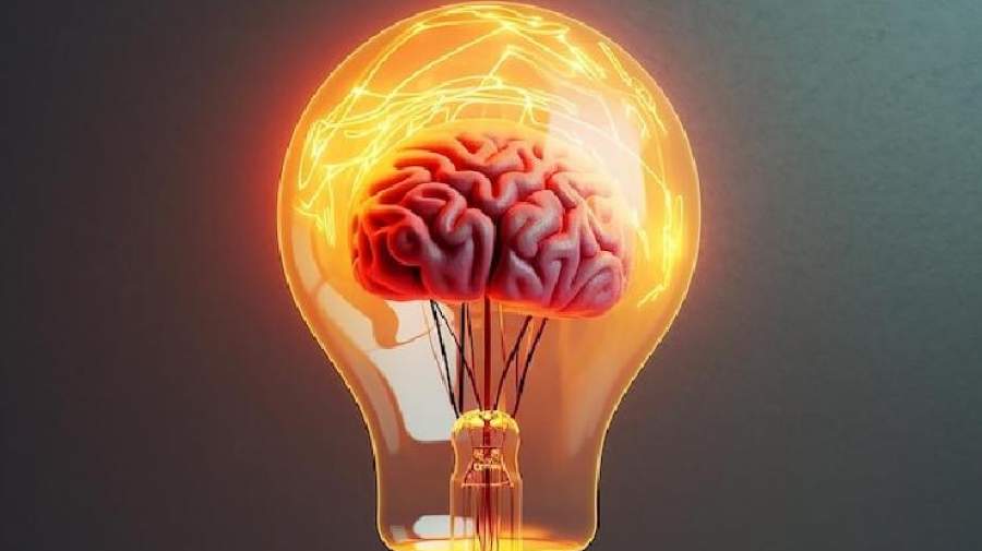 نوروساینس عاطفی (Affective Neuroscience) چیست ؟