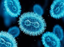 هوش مصنوعی پاشنه آشیل آبله میمونی را پیدا کرد