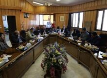 پیوند هوش مصنوعی با صنعت و علم؛ کلید توسعه  چهارمحال وبختیاری