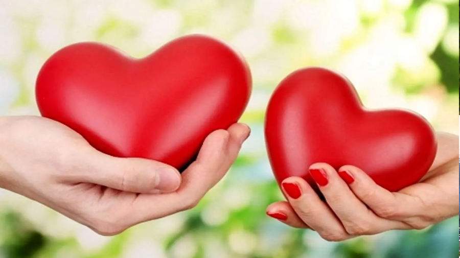 چرا روابط عاشقانه در زندگی انسان مهم است ؟