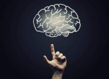 کاتاتونیا (Catatonia) چیست ؟