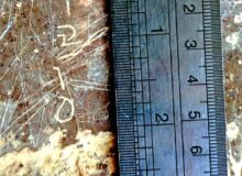 کشف کتیبه ای با محتوای «یکی از جشن های ساسانیان» در مرودشت