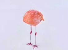 برنده مسابقه عکاسی هوش مصنوعی، به‌خاطر ارسال عکس واقعی از جایزه محروم شد