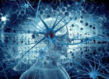 برگزاری نهمین نشست تخصصی کانکت فروم همزمان با نمایشگاه بین‌المللی هوش مصنوعی