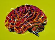 دانشمندان با الهام از مغز انسان، هوش مصنوعی کم‌مصرف می‌سازند