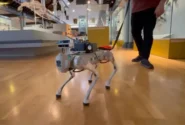 دستاورد محققان چینی: ساخت سگ رباتیک مبتنی بر هوش مصنوعی برای راهنمایی نابینایان