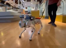 دستاورد محققان چینی: ساخت سگ رباتیک مبتنی بر هوش مصنوعی برای راهنمایی نابینایان