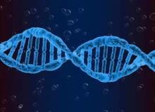 پژوهش جدید: محققان تأثیر شخصیت افراد بر بیان ژن‌ها در بدن را نشان دادند