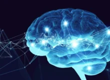 پژوهش جدید: هوش مصنوعی سازوکار حافظه انسان را در یادگیری و برنامه‌ریزی تشریح کرد