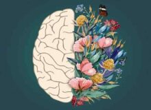 اصول اولیه درمان و مداخلات روان‌شناختی