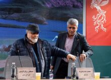 انتقاد محمدرضا شریفی‌نیا‌ از فرمت برگزاری جشنواره فیلم فجر