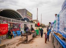 توزیع هزاران وعده پذیرایی در مسیر نجف-کربلا به مناسبت نیمه شعبان