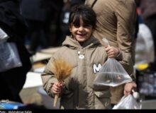 تلاقی دو بهار در عصر صیانت