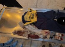 مظلومیت این عکس را چطور می‌توان توجیه کرد؟