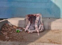 نام‌گذاری فضاهای ورزشی مدارس به نام دانش‌آموزان شهید