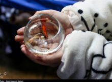 نوروز 1405؛ فرصتی برای بسط خودآگاهی ملی ایرانیان