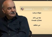 هنرمندان پای کار دفاع از وطن/ کاش نمانم، اما تو بمانی ایران زیبای من