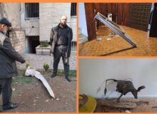 وقتی موشک به قلب گالری هنری خورد