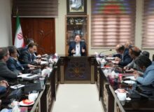 استاندار بوشهر: تأمین برق پایدار در تابستان امسال از اولویت‌ها است