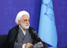 اژهای: هیچ ارفاق و اغماضی برای مخلان امنیت روانی و فیزیکی مردم نداریم