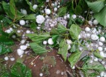 بارش تگرگ در مناطق کوهستانی ایلام