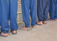 باند سرقت از باغات و اماکن خصوصی  فلاورجان متلاشی شد