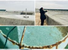 به‌روزرسانی زیرساخت‌های پرورش میگو در استان بوشهر