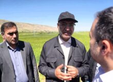 حبیبی: معیشت مرزنشینان با اجرای سامانه گرمسیری تضمین شد