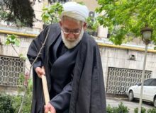 رئیس دیوان عالی یک اصله نهال مثمر در دادگستری کاشت