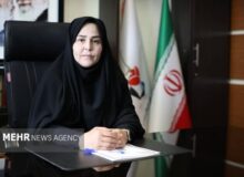 سرپرست بنیاد شهید استان تهران: اتحاد ملت ایران مرهون خون شهدا است