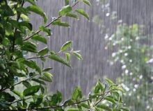 فردا رگبار بهاری همه استان اصفهان را در برمی‌گیرد
