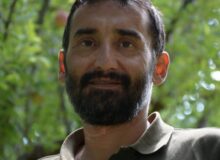 مجتبی قبل از شهادت شاخ غول را شکسته بود!