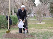 محسنی اژه‌ای، یک اصله نهال غرس کرد