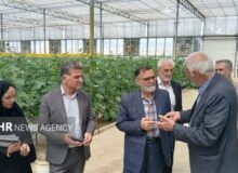 «نظارت مستمر» ضریب خودکفایی را بالا می‌برد؛ «کشاورزان» مجاهدان بی‌ادعا