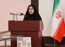 نعمت زاده: دختران در پیشبرد توسعه پایدار کشور تعیین‌ کننده هستند