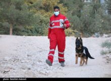 همدلی زیرکانه؛ راز بقا در فرهنگ ایرانی / تقدیر از سگ زنده یاب روی صحنه