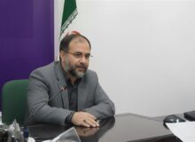 چالش سندیت لقب «غریب» برای امام رضا (ع)