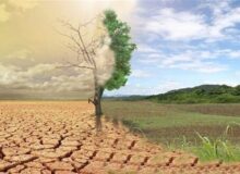 کرامت انسان در نگاه امام سجاد؛ تفسیر عملی آیه‌ی «لقد کرمنا بنی آدم»