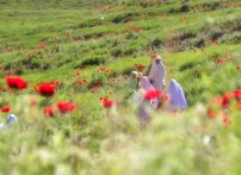 الگوی دینیِ حضور زن در جامعه؛ نه انزوا، نه بی‌مرزی