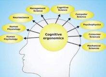 شناخت (Cognition) چیست ؟