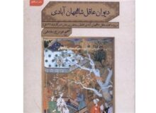 هفتمین اثر از مجموعه میراث فارسی شبه‌قاره منتشر شد