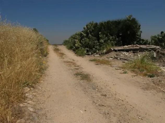 پیراهنهای سوزندوزیشده «قطره» نام دیگر فلسطین است رژیم صهیونیستی (اسرائیل) , شهرک سازی رژیم صهیونیستی اسرائیل , اسرای فلسطینی , احتلال فلسطین عام 1948 , النازحین الفلسطینیین , کشور فلسطین , المقاومة الفلسطینیة , النکبة ,