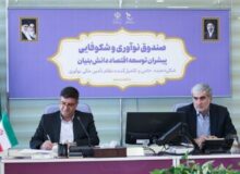 دیدار استاندار چهارمحال  وبختیاری با رئیس صندوق نوآوری وشکوفایی کشور /پیگیری برای تأمین مالی طرح‌های کلان و توسعه زیست‌بوم فناوری استان