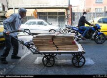کاغذ دوباره سوار بر هیجانات بازار شد