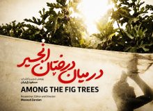 «در میان درختان انجیر»؛ روایت ناب موکب‌داری مادر عراقی در مسیر اربعین